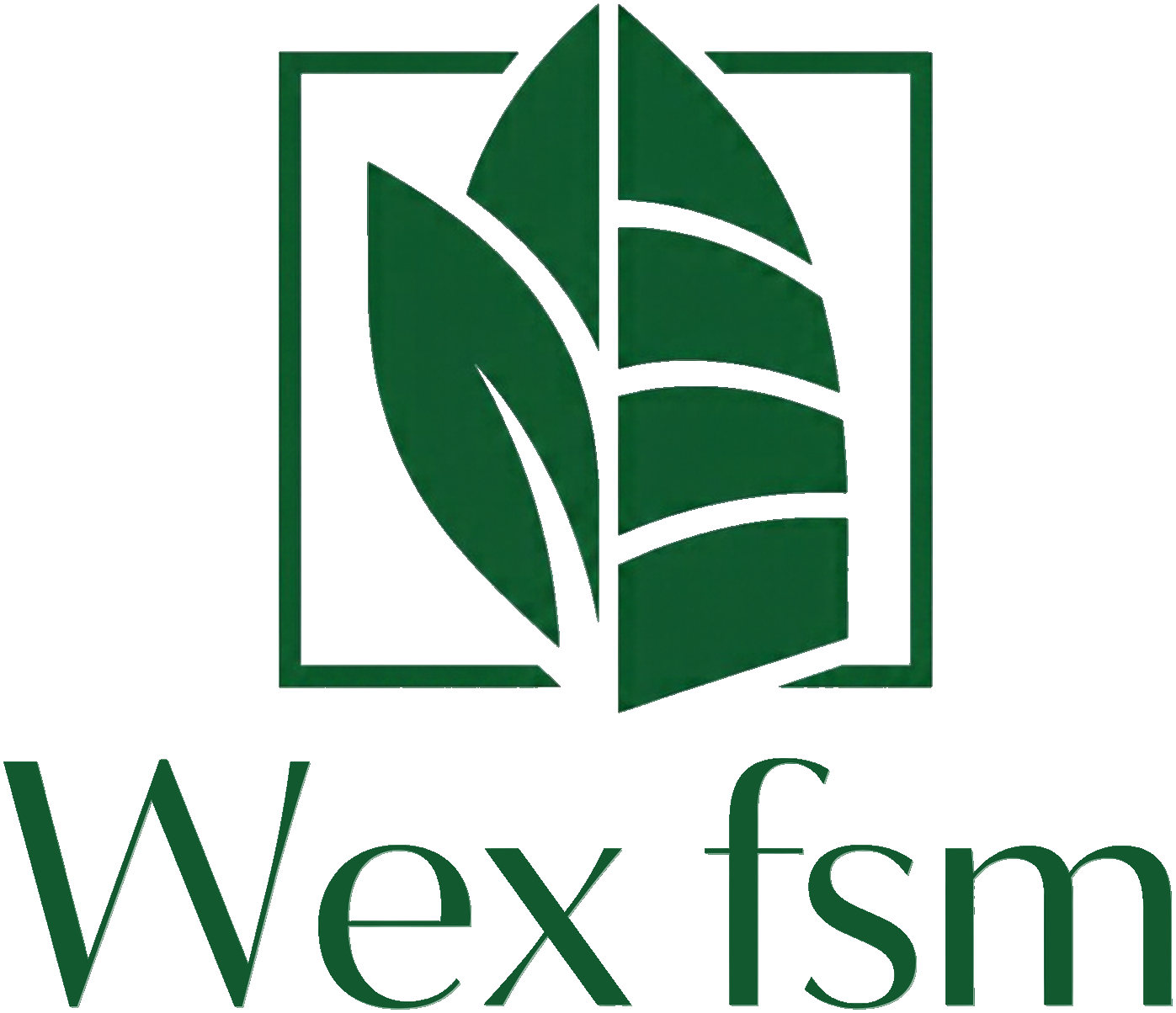 Wex fsm logo